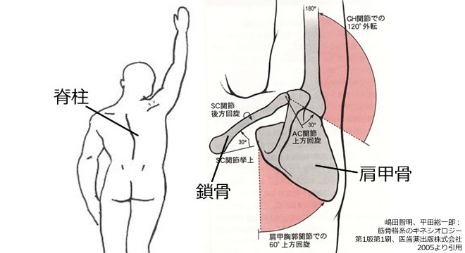 首 肩 腰 膝など症状のある方 有川整形外科医院